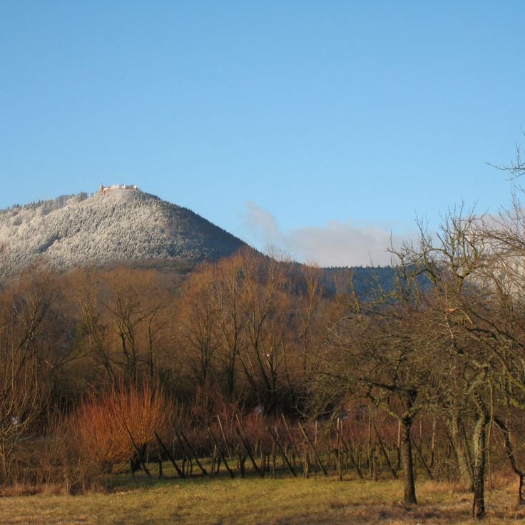Monte Sainte-Odile