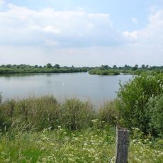 Neue Weser