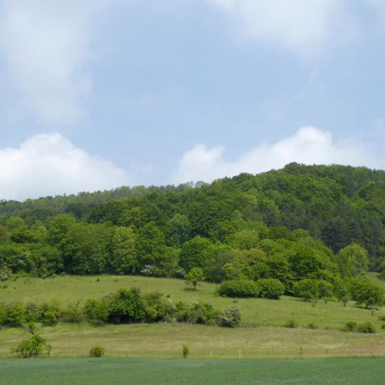 Südliche Burgberghänge, Weinberge bei Holenberg und Rühle