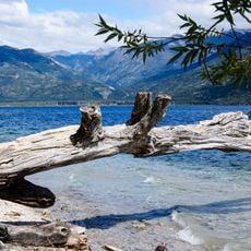 Reserva forestal Lago Epuyén