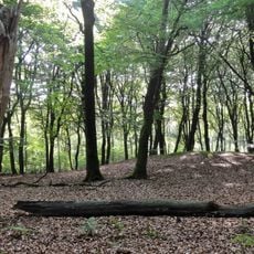 Terrein waarin 3 grafheuvels