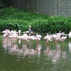 Jurong Bird Park