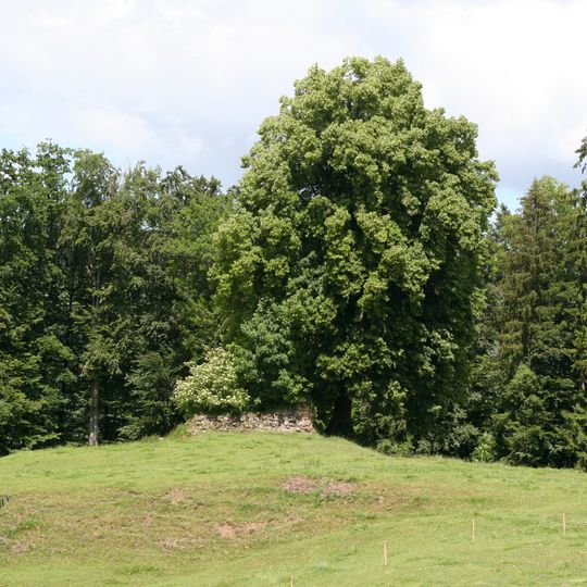 Ruine Tössegg