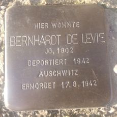 Bernhardt de Levie