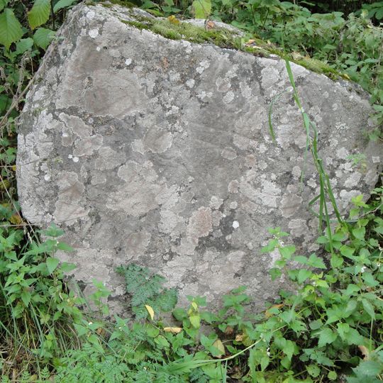 Uppland Runic Inscription 1100