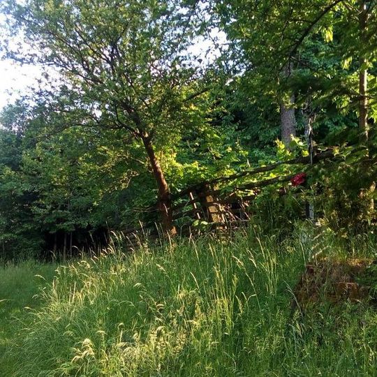 Kříž východně od Nového Mnichu