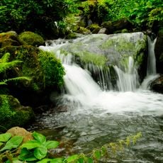 Parque Nacional Mtirala