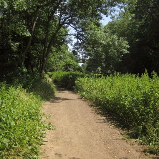 Bickley Wood