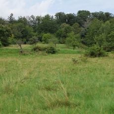 Kirdorfer Feld bei Bad Homburg