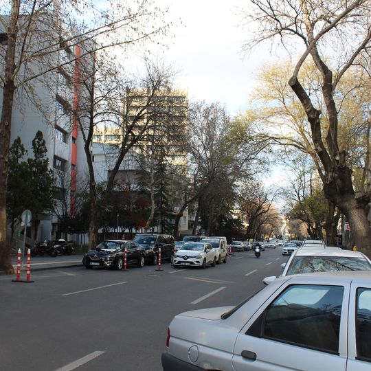 Tunus Avenue