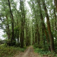 Kovchynskyi Preserve