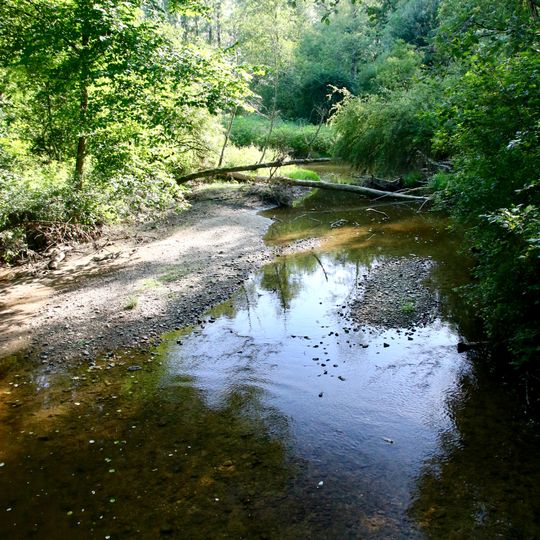 Bachlauf der Eyach im Mündungsbereich
