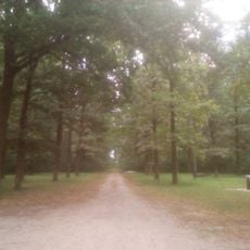 Споменик природе Рогот