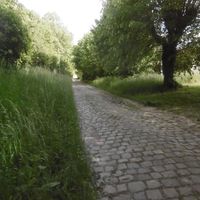 Villeneuve-sous-Dammartin