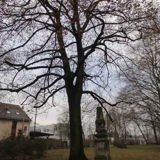 Sachgesamtheit Matthäus-Friedhof