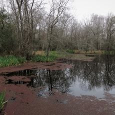 Armand Bayou Park