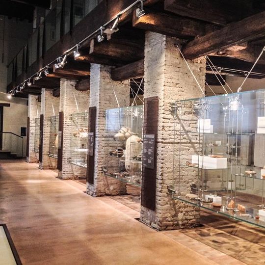 Museo civico di Belriguardo