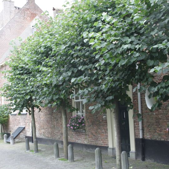 Laag, eenvoudig woonhuis, aan singelzijde gepleisterd. Rechte lijst. Het oude muurwerk van de stadsmuur duidelijk zichtbaar. Vormt een geheel met nr 15