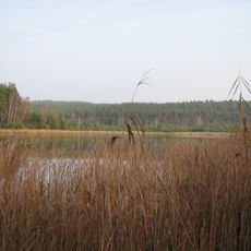 Luchsee