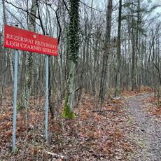 Nature reserve Łęgi Czarnej Strugi