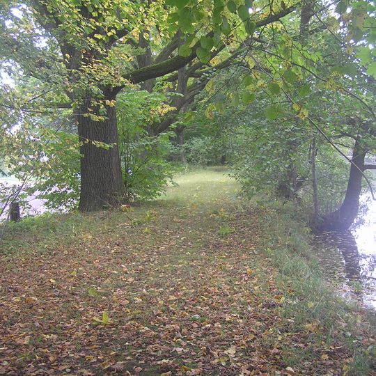 36 ks Dub letní, 1 ks Habr obecný, 1 ks Olše lepkavá