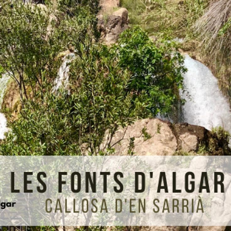 Fuentes del Algar