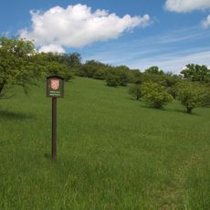 Dřínovská stráň