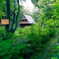 Chałubiński's forest