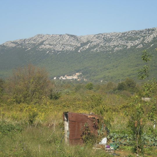 Česvinica