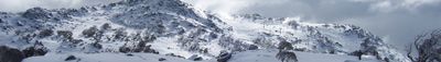 Panoramic View 1