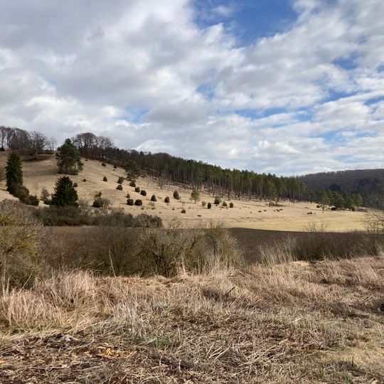 Bullenberg-Dudelberg-Stockhau