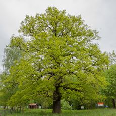 Grabentour