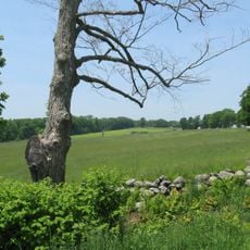 North Common Meadow