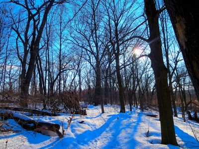Vinter 1