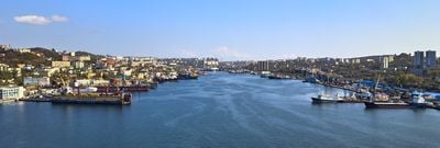 The view 1