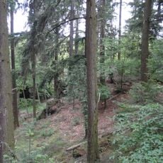 Wallanlage Würzburg