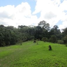 Allpahuayo-Mishana National Reserve