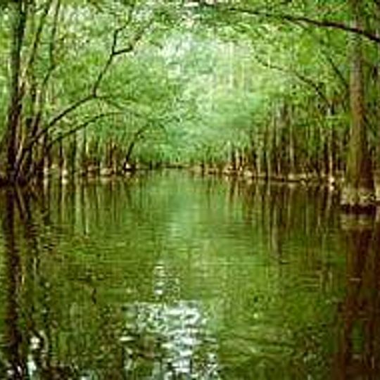 Congaree National Park