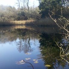 Hausstätter Weiher