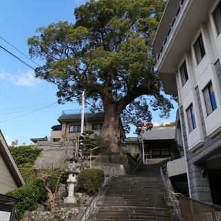 Kanzen-ji temple