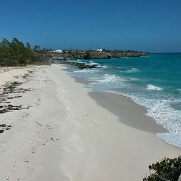 Barbados'un En Ünlü Plajları