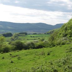 Südhang des Thüster Berges