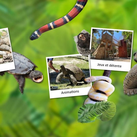 La Vallée des Tortues