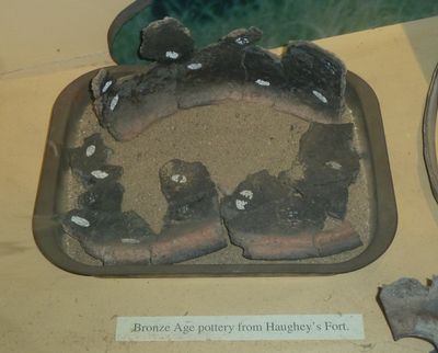 Immagine alternativa