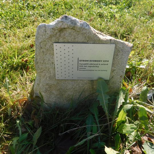 Strom svobody v Kamenici