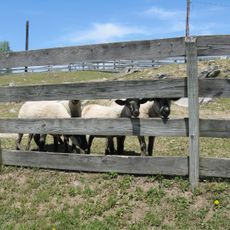 Nevins Farm and Equine Center