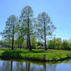 Terrein met overblijfselen van de borg Nittersum