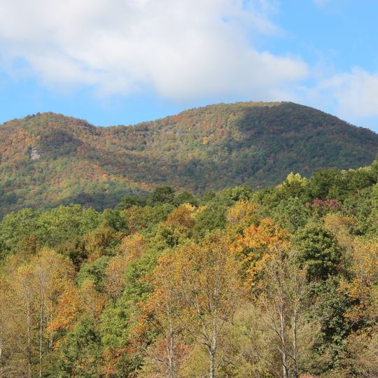 Southern Nantahala Wilderness
