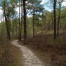 Weymouth Woods-Sandhills Nature Preserve