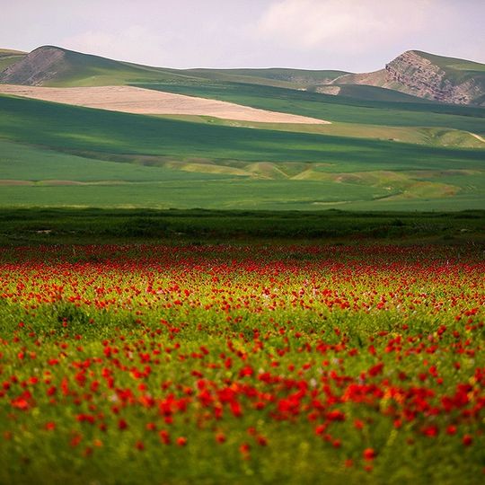 Préfecture de Dargaz